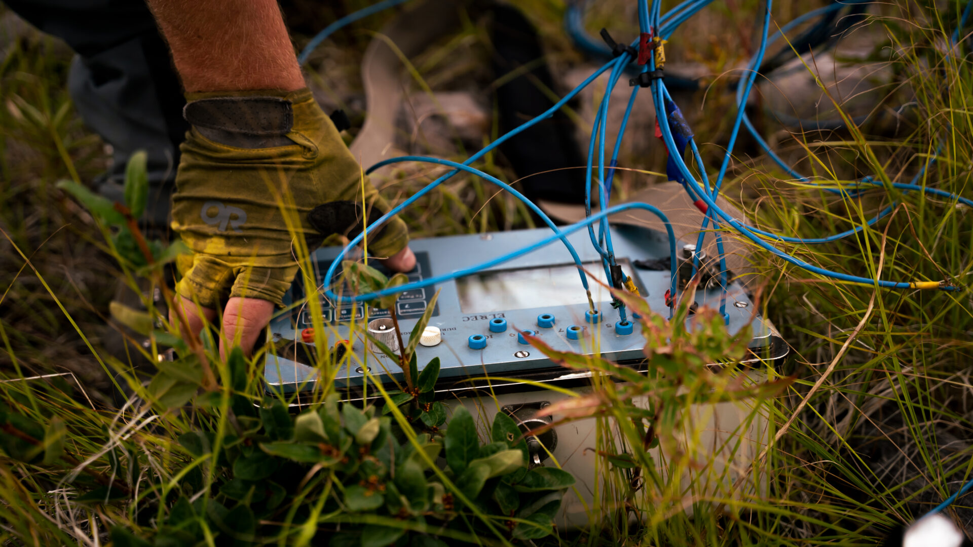 Geophysics